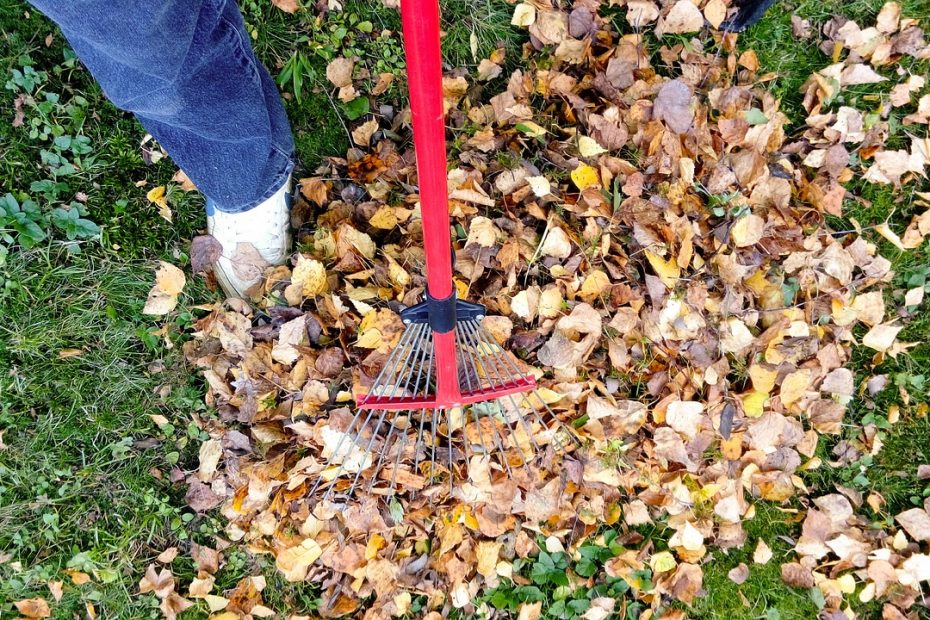 raking, fall, autumn